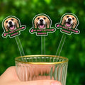Personalized 50 pcs Double-Sided Wedding Pet Stir Sticks, Custom Dog Cat Stir by FamiTrendz