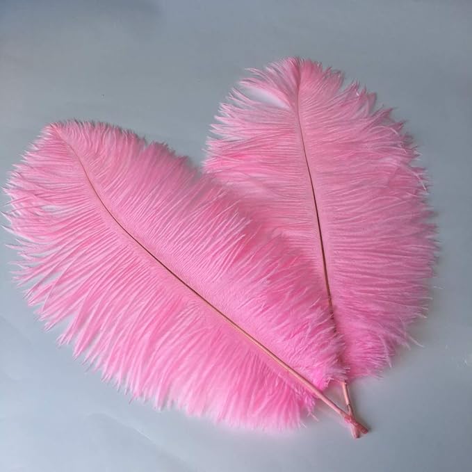 Sowder 14-16inch Ostrich Feathers Plume - Image 3