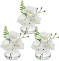 White Orchids Artificial Flowers Faux Orchids Arrangement in Clear Glass Vases by Oairse