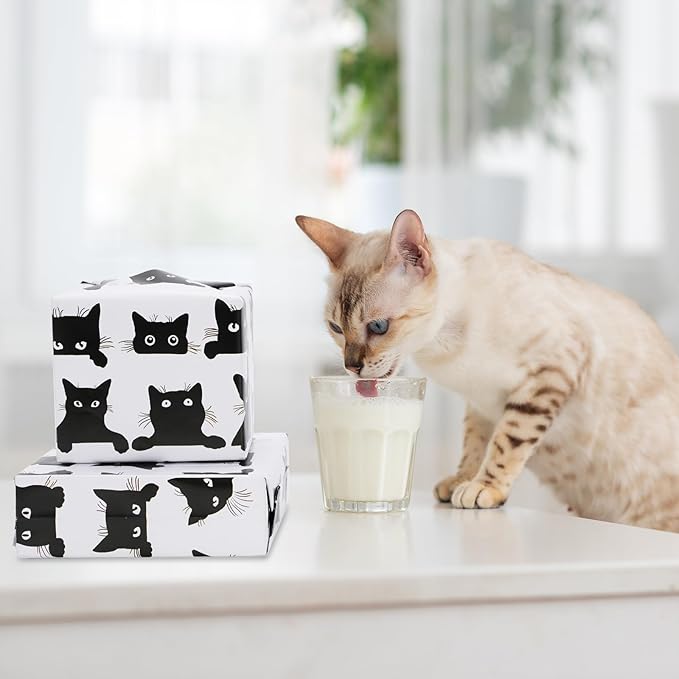 JarThenaAMCS 8 Sheets Cat Wrapping Paper - Image 6