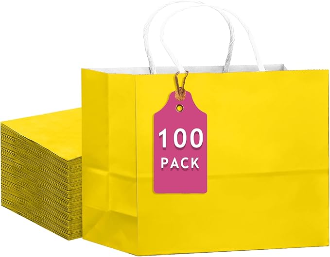 qiqee 100PCS Large Gift Bag by Qiqee