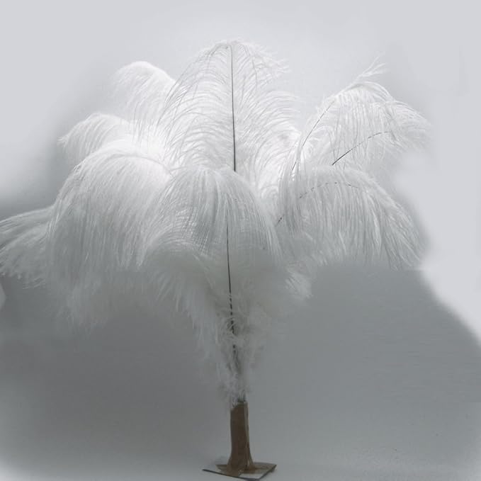 KOLIGHT 40pcs 12''~14'' Natural Ostrich Feathers - Image 3