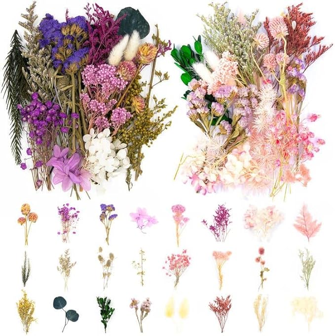 Vignee Real Dried Pressed Leaf Flowers-Multiple Colorful Pressed Flowers Daisies by Vignee