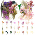 Vignee Real Dried Pressed Leaf Flowers-Multiple Colorful Pressed Flowers Daisies by Vignee