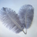 Sowder 14-16inch Ostrich Feathers Plume by Sowder