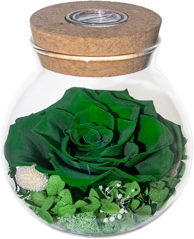 Preserved Real Roses with Colorful Mood Light Wishing Bottle, Eternal by roliys