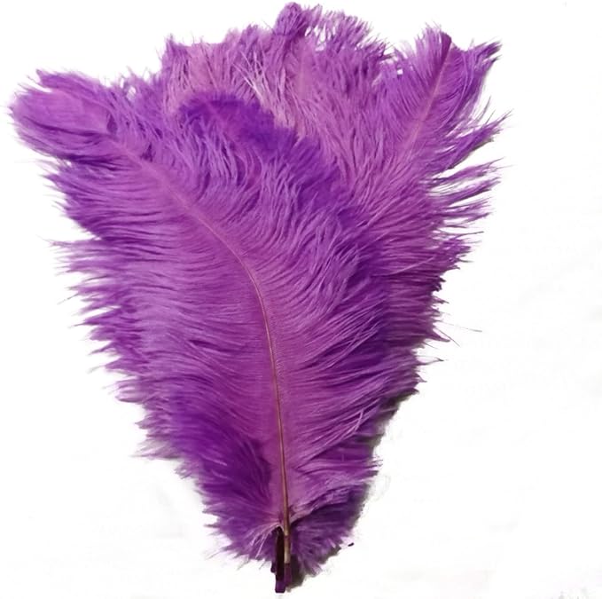 KOLIGHT 40pcs 12''~14'' Natural Ostrich Feathers by KOLIGHT