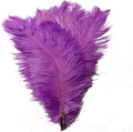 KOLIGHT 40pcs 12''~14'' Natural Ostrich Feathers by KOLIGHT