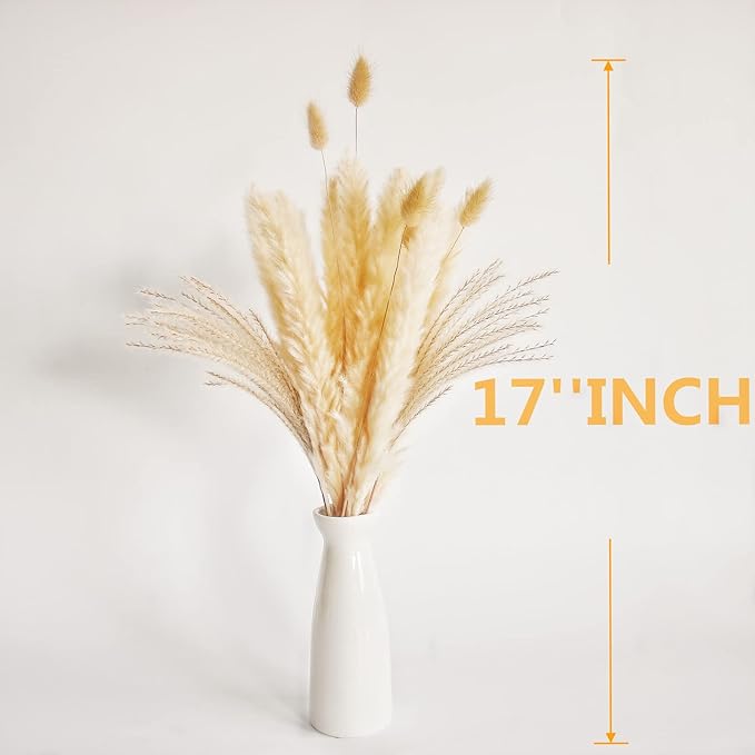Natural Dried Pampas Grass Decor, Bunny Tails Dried Flowers, Reed Grass Bouquet - Image 4