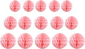 15pcs Honeycomb Balls Decorations 4'' 6'' 8'' Party Honeycomb Ball Flower by Yangeey