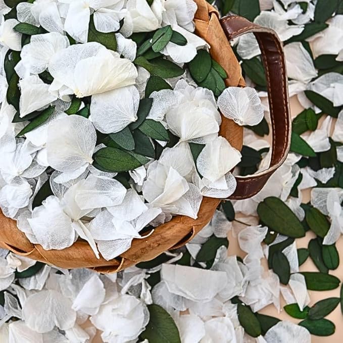 Real Dried Ivory White Hydrangea Flower & Eucalyptus Petals by Gifugi