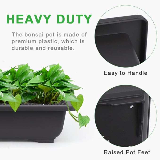 GROWNEER Bonsai Training Pots 3 Packs 9Inch - Image 4