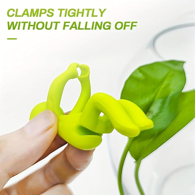 Plant Propagation Buddy, Plant Cutting Holder - Image 5