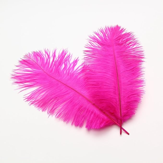 Sowder 8-10inch Ostrich Feathers Plume by Sowder
