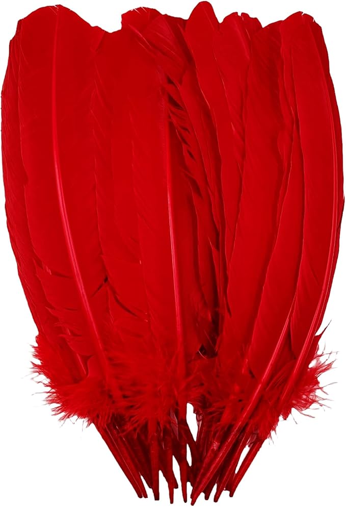 Red Turkey Feathers, Turkish Feather by Unknown