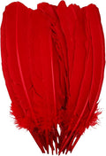 Red Turkey Feathers, Turkish Feather by Unknown