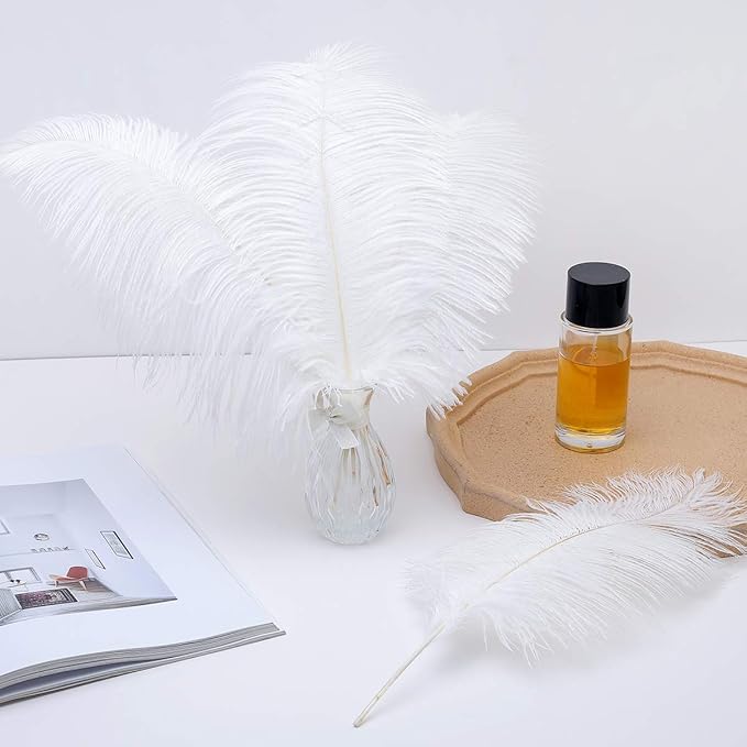 12pcs Natural White Ostrich Feathers 12-14inch - Image 6