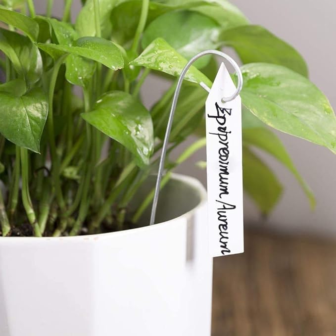 YaeCCC 1000 Pcs 4 Inches Plant Labels Plastic Plant Tags Nursery Garden Labels - Image 4