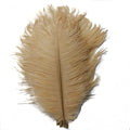 KOLIGHT 40pcs 12''~14'' Natural Ostrich Feathers by KOLIGHT