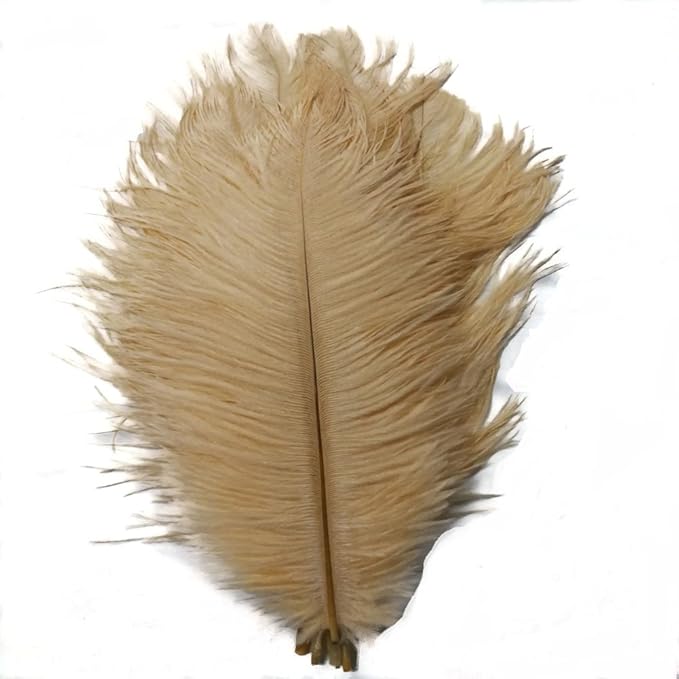 KOLIGHT 40pcs 12''~14'' Natural Ostrich Feathers by KOLIGHT