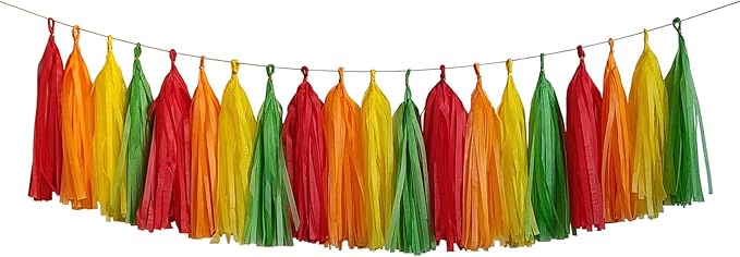 ZOOYOO Fiesta Tassel Garland Tissue Paper Tassel Banner, Table Decor, DIY Kits by ZOOYOO