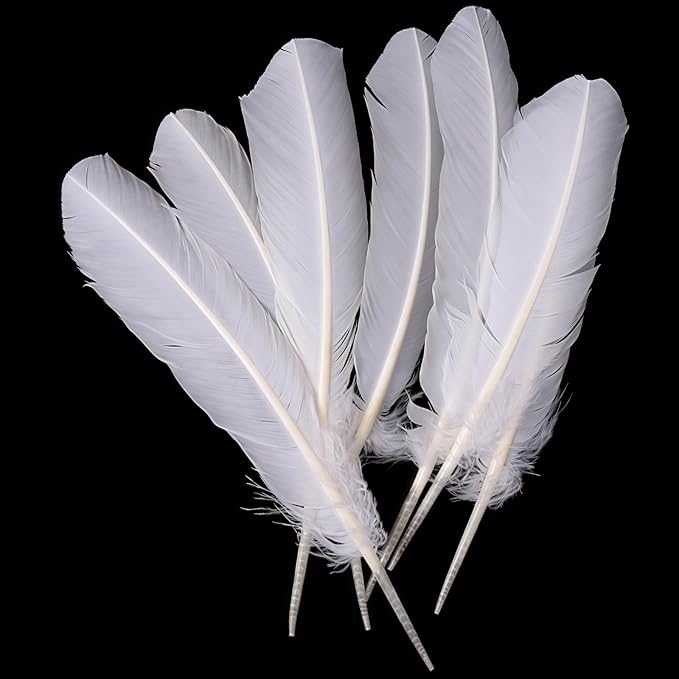 White Turkey Feathers, Turkish Feather - Image 5