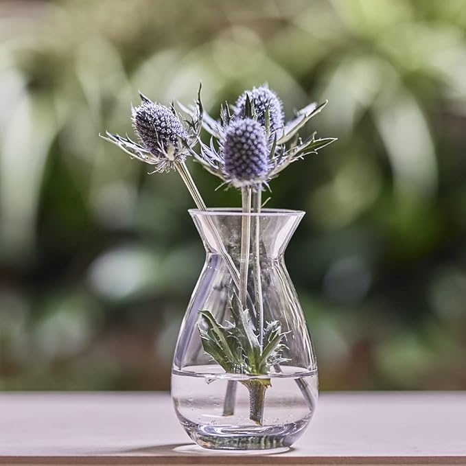 CHIVE ‘George’ Glass Bottle Flower Vases — Set of 6 — Small, Elegant Clear - Image 5
