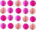 20pcs Honeycomb Flower Balls Party Honeycomb Balls Decoration Paper Flower by ZGjoy