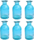 6 Sets Glass Bud Vase Small Vases by HANIHUA