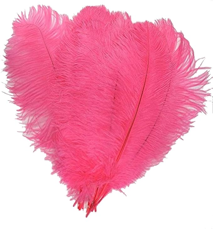 KOLIGHT 40pcs 12''~14'' Natural Ostrich Feathers by KOLIGHT