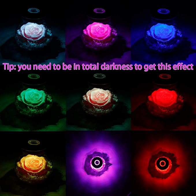 Preserved Real Roses with Colorful Mood Light Wishing Bottle, Eternal - Image 4