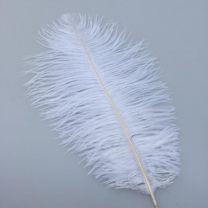 Sowder 8-10inch Ostrich Feathers Plume - Image 3