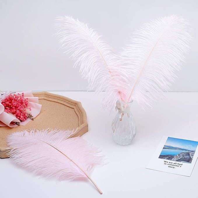 24pcs Natural Light Pink Ostrich Feathers 10-12inch - Image 7