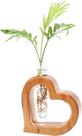 Plant Propagation Stations Plant Terrariums Wall Hanging Planters Plants Stand by Chonsun