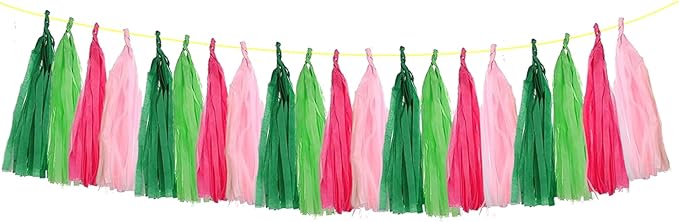 ZOOYOO Tassel Garland Tissue Paper Tassel Banner Table Decor, DIY Kits - Image 2