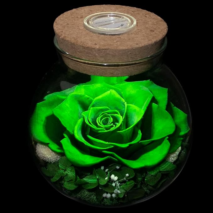 Preserved Real Roses with Colorful Mood Light Wishing Bottle, Eternal - Image 9