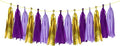 ZOOYOO Shiny Tassel Garland Tissue Paper Tassel Banner Table Decor, DIY Kits by ZOOYOO