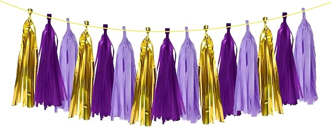 ZOOYOO Shiny Tassel Garland Tissue Paper Tassel Banner Table Decor, DIY Kits by ZOOYOO