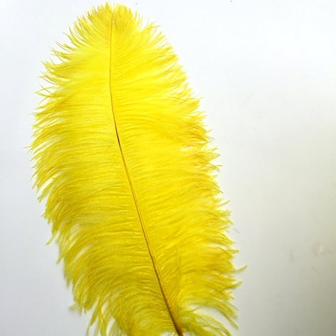 Kolight® 40pcs 12''~14'' Natural Ostrich Feathers - Image 4