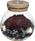 Preserved Real Roses with Colorful Mood Light Wishing Bottle, Eternal by roliys