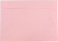 JAM PAPER 9 x 12 Booklet Premium Envelopes by JAMPaper