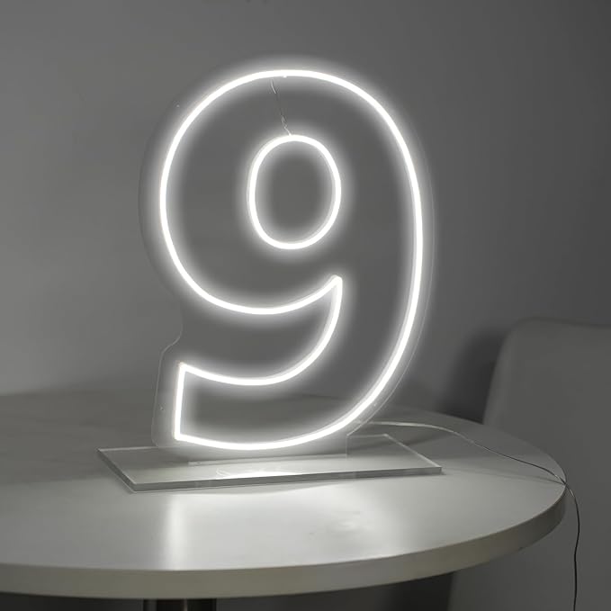 Number 9 Neon Sign for First Birthday, 16.54" Cool White USB Battery Powered by LIYUNEON