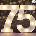 Pooqla Decorative Led Light Up Number Letters by Pooqla