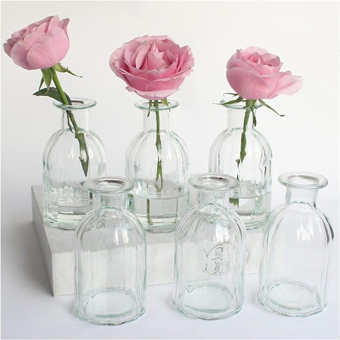 Bud Vases Set of 6 Small Glass Vase by HANIHUA
