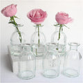 Bud Vases Set of 6 Small Glass Vase by HANIHUA