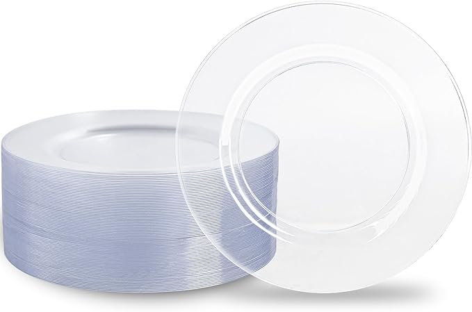 N9R 100PCS Clear Plastic Plates, 10.25 inch Clear Disposable Dinner Plate by N9RTABLEWARE