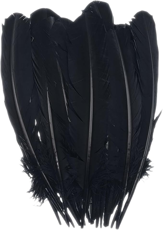Black Turkey Feathers, Turkish Feather by Unknown