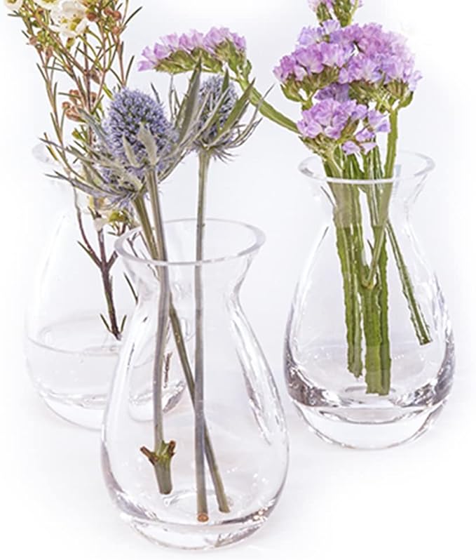 CHIVE ‘George’ Glass Bottle Flower Vases — Set of 6 — Small, Elegant Clear - Image 2