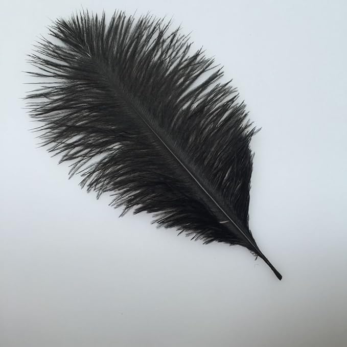 Sowder 10-12inch Ostrich Feathers Plume - Image 2