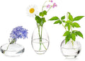Glass Bud Vases Set of 3, Hewory Cute Clear Small Vases Handmade, Mini Glass by Hewory